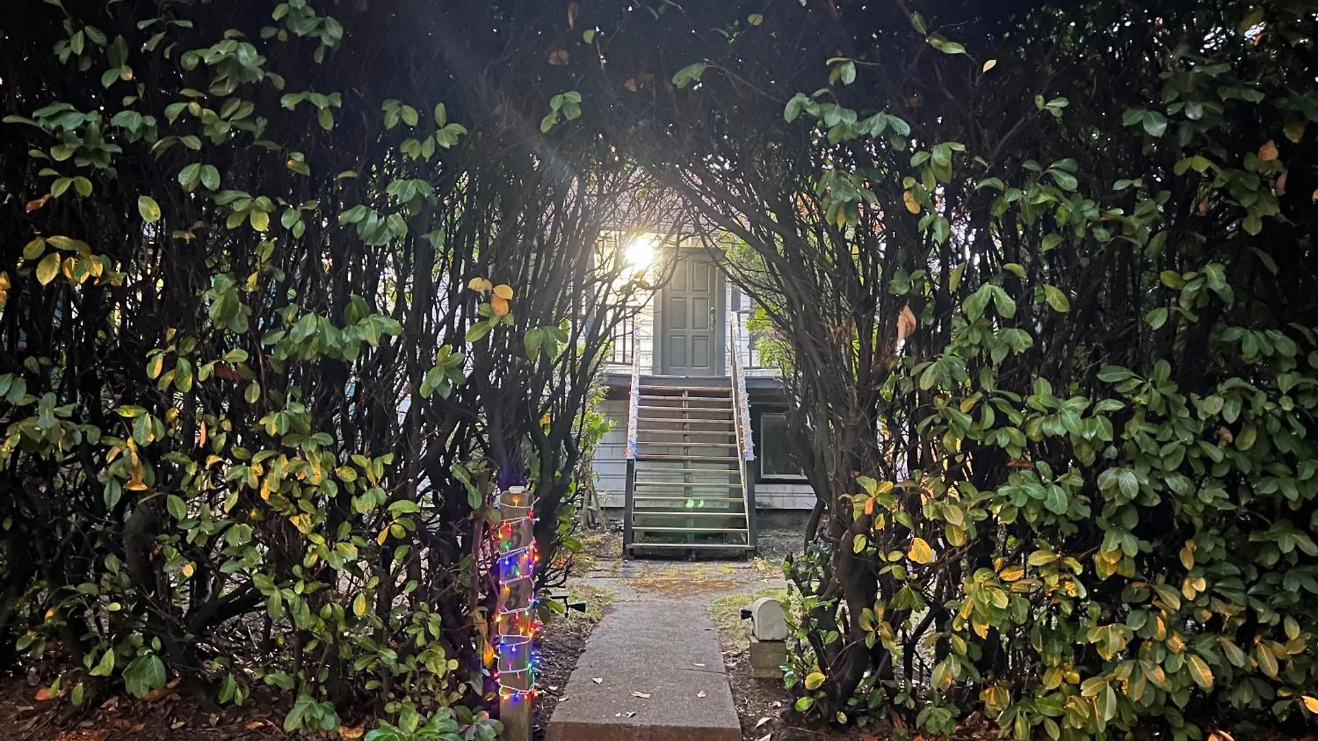 Homestay Larch House In Vancouver West